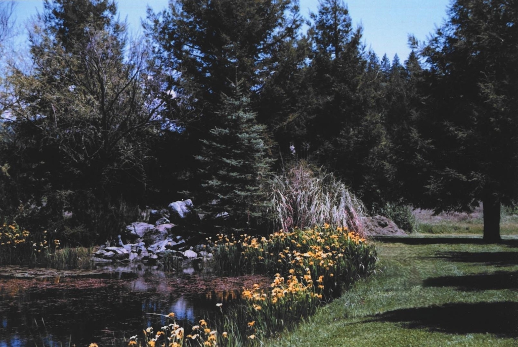 main property photo 3