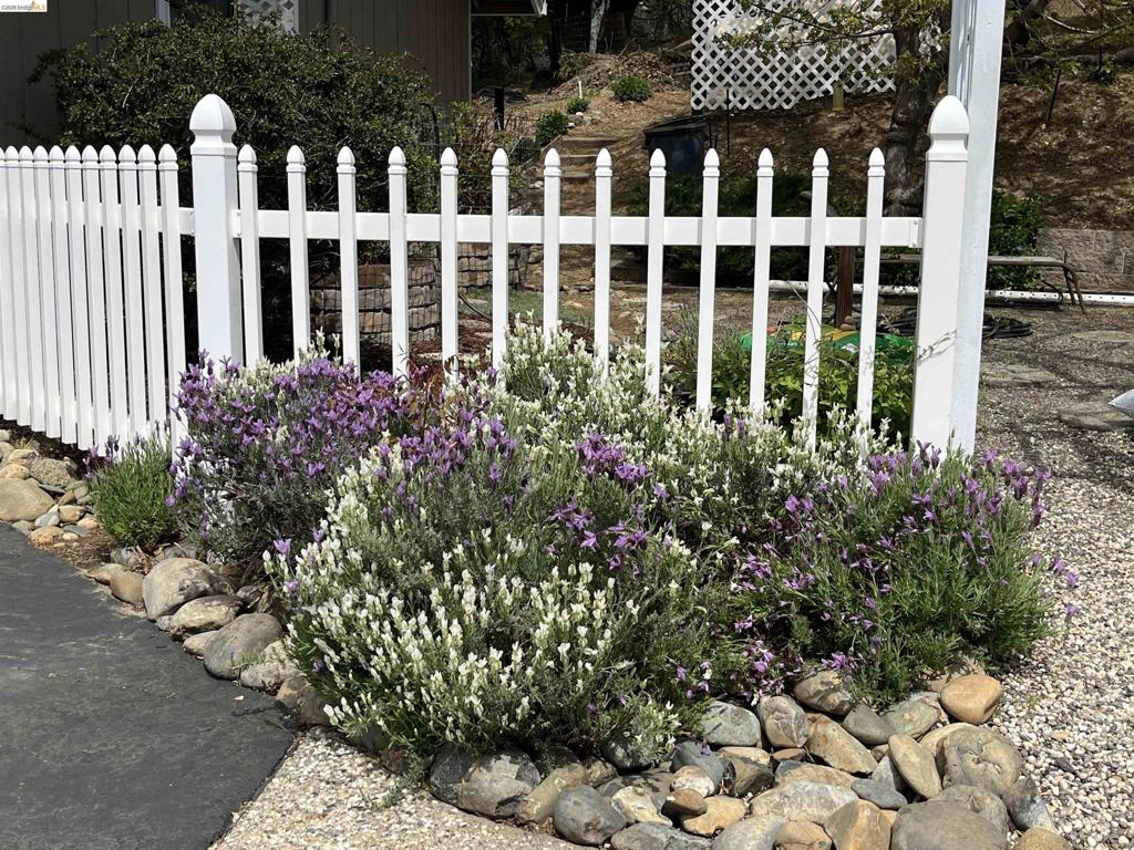 main property photo 63