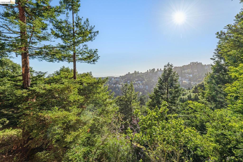 main property photo 118