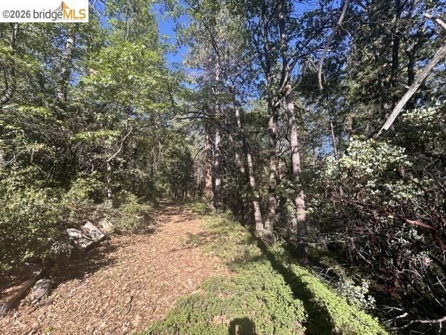 main property photo 24