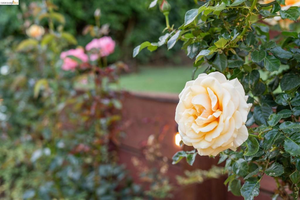 main property photo 66