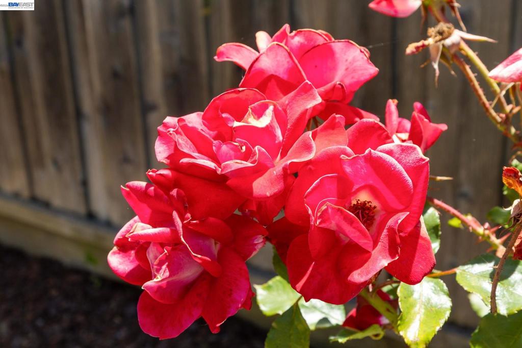 main property photo 86