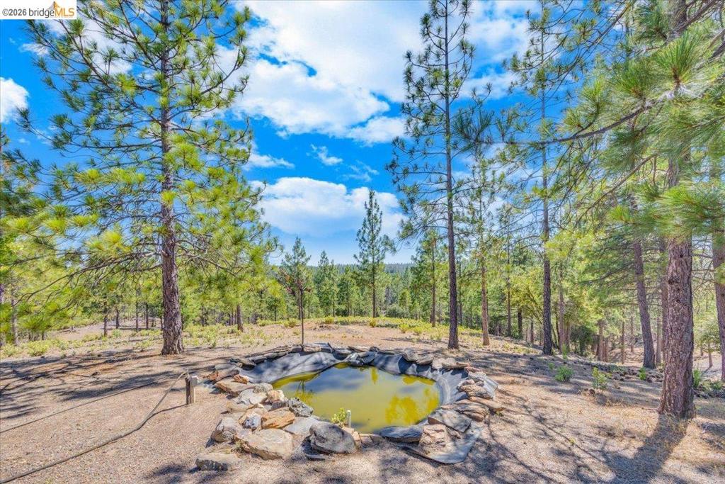 main property photo 70
