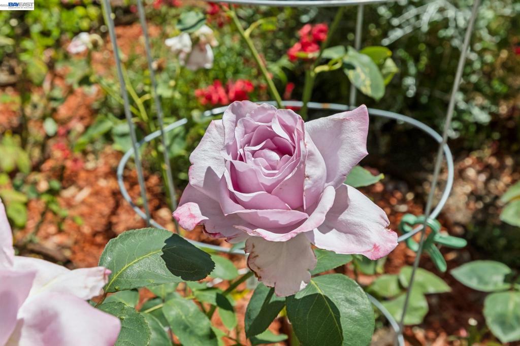 main property photo 60