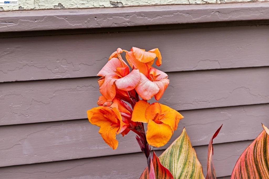 main property photo 64