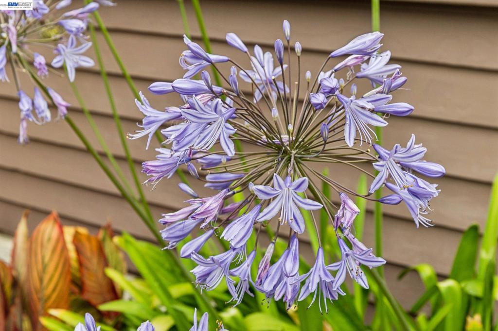 main property photo 65
