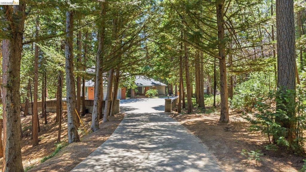 main property photo 55