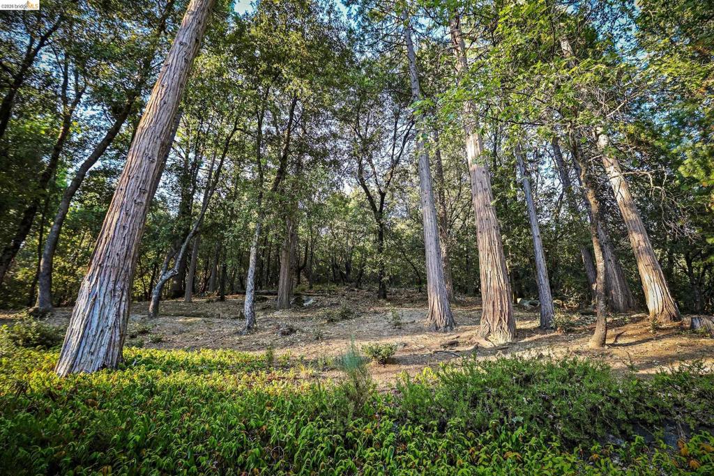 main property photo 56