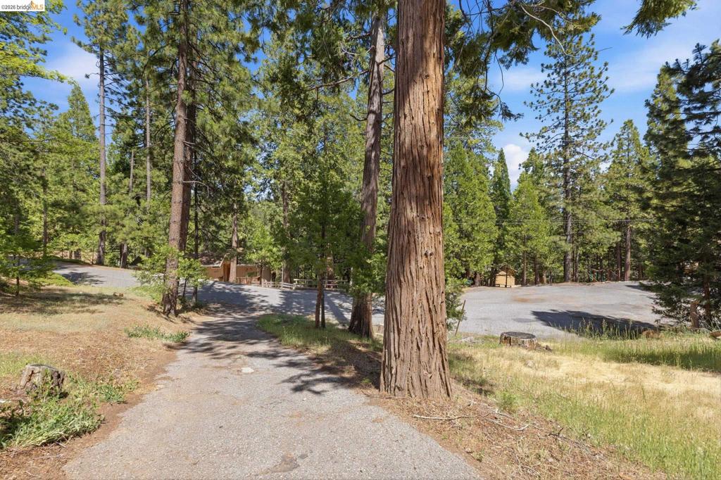 main property photo 44