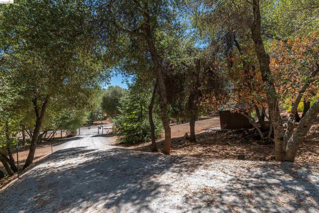 main property photo 59