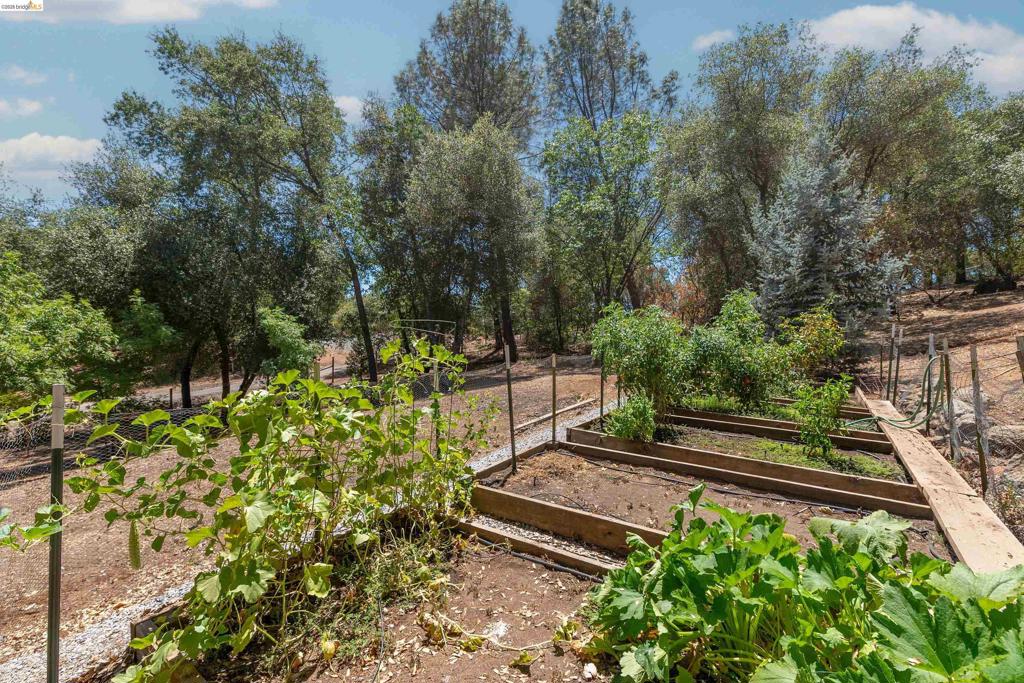 main property photo 61