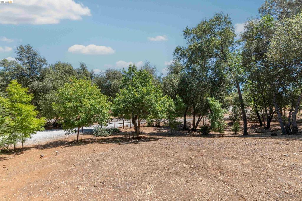 main property photo 62