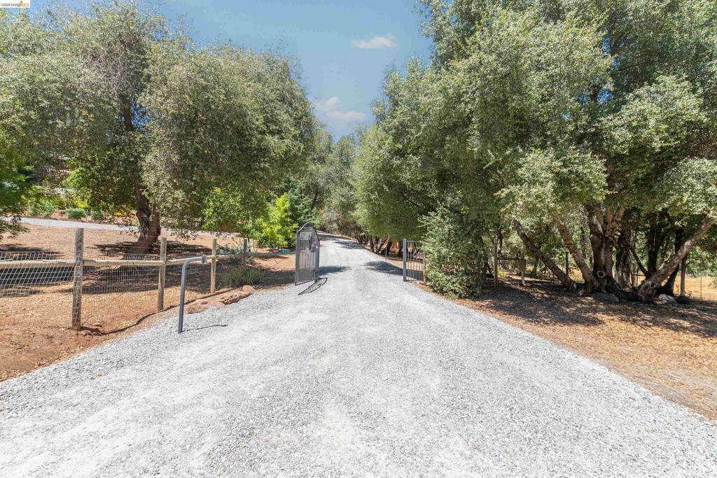 main property photo 63