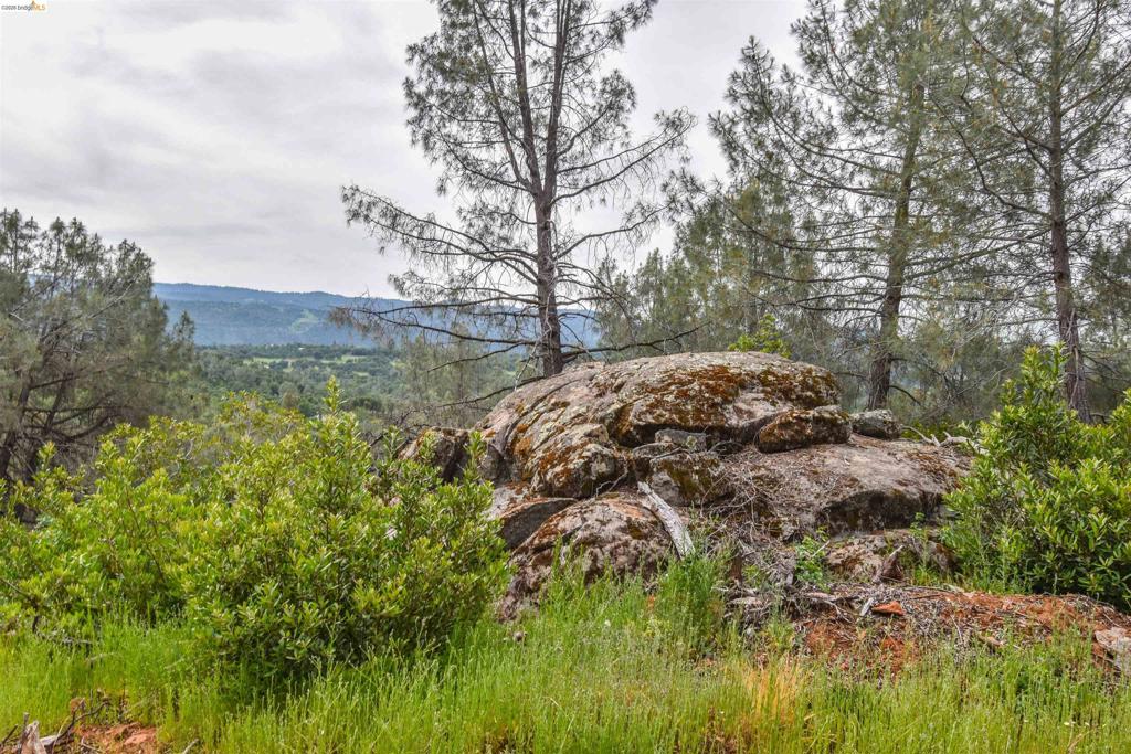 main property photo 53