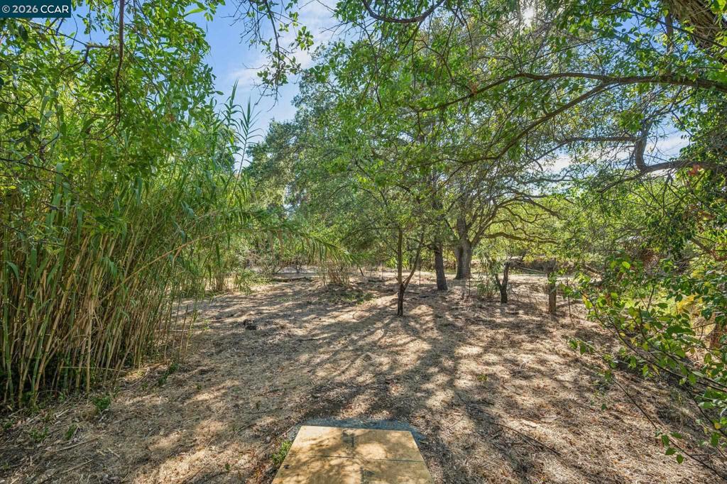 main property photo 83