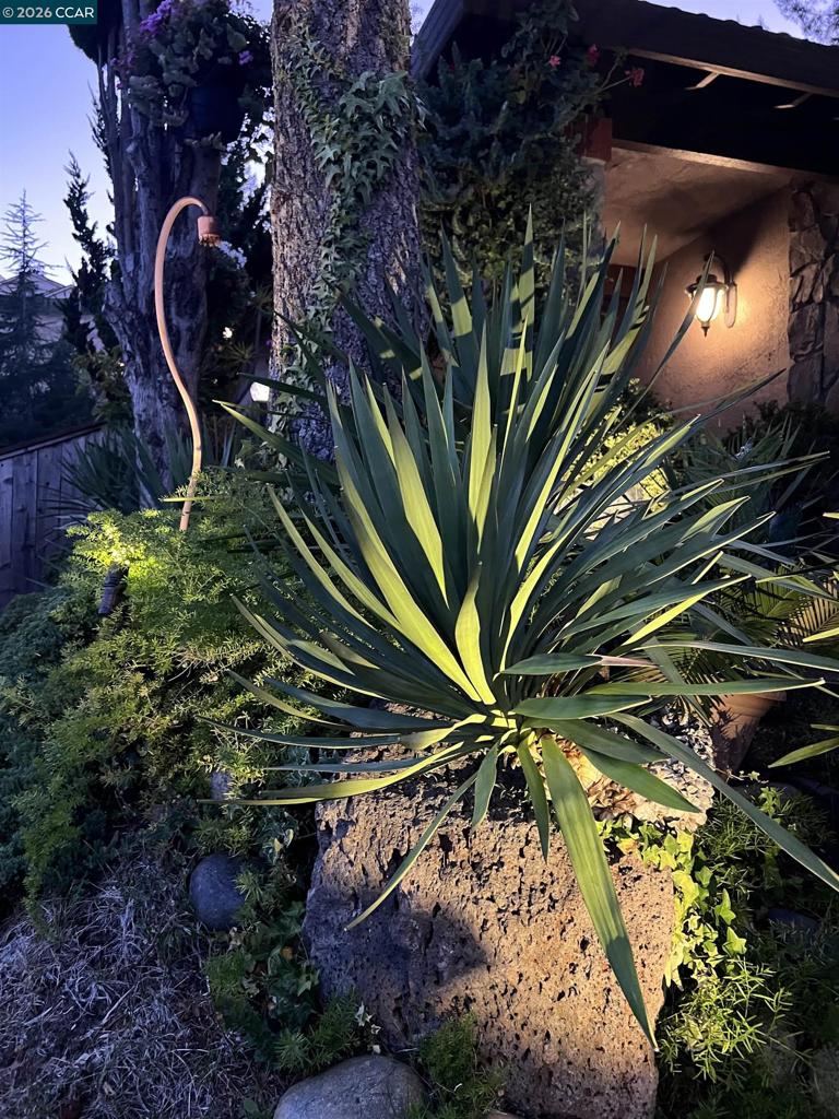 main property photo 81