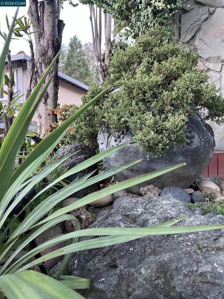 main property photo 85