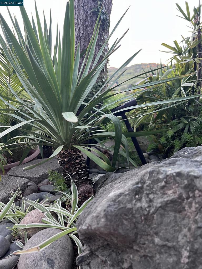 main property photo 86