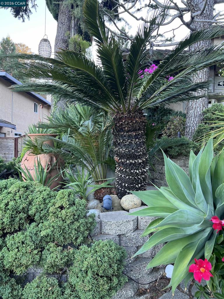 main property photo 92
