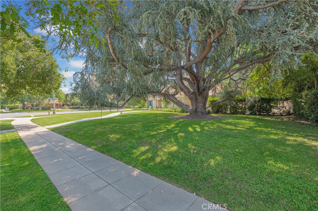 main property photo 63