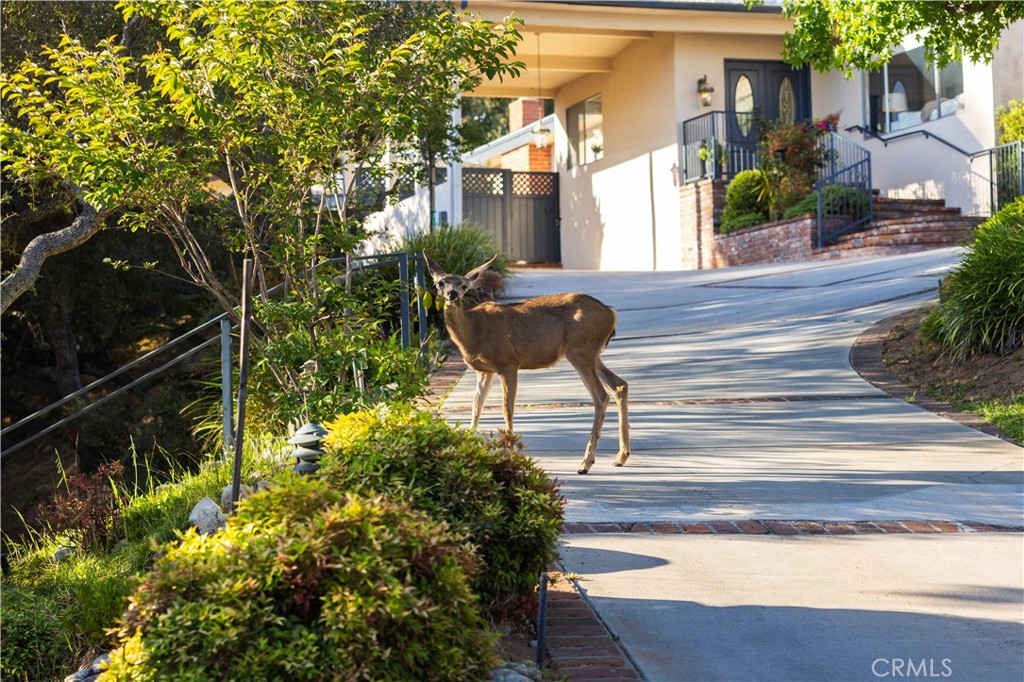 main property photo 51