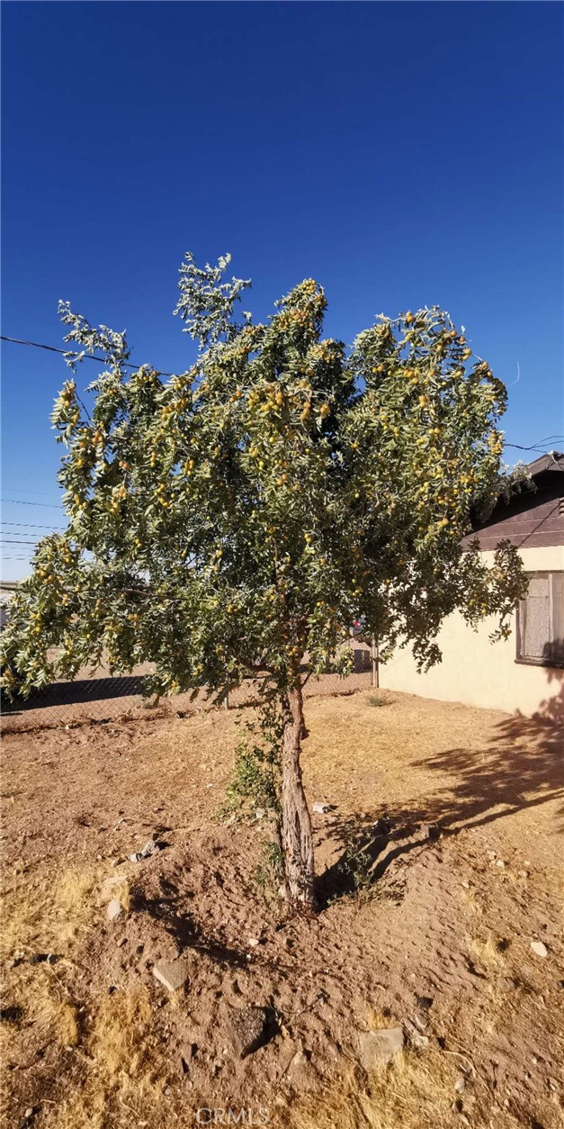 main property photo 22