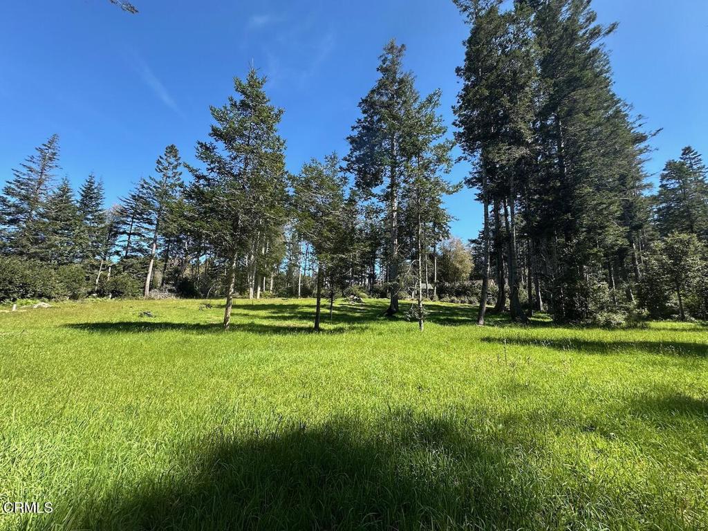 main property photo 8