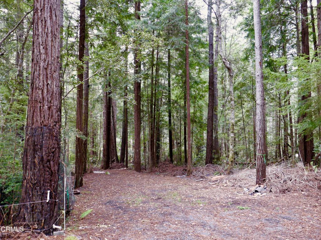 main property photo 46