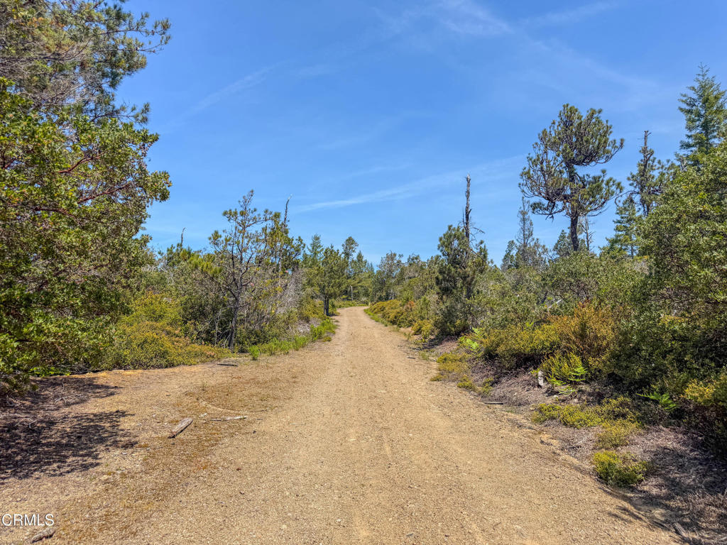 main property photo 6