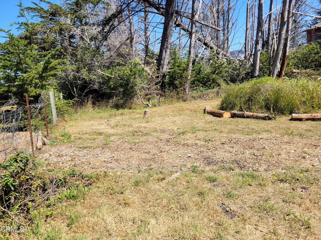main property photo 14