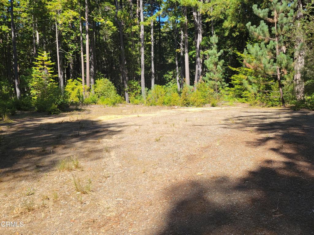 main property photo 51