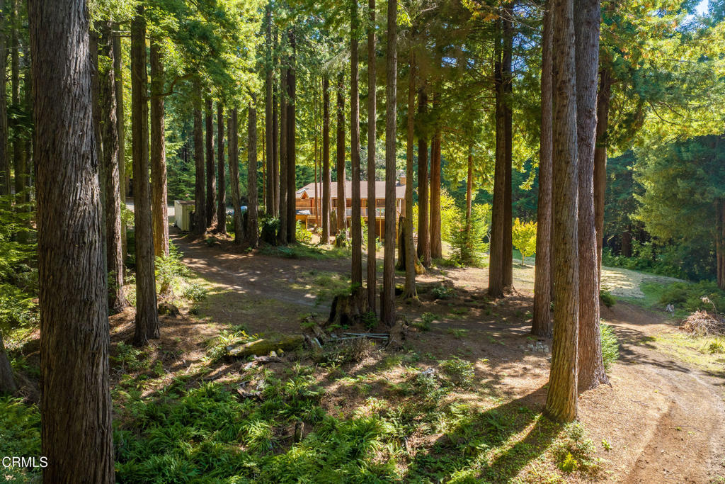 main property photo 50