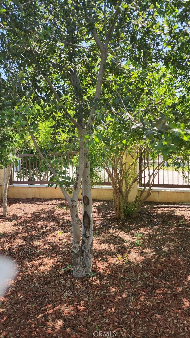 main property photo 67