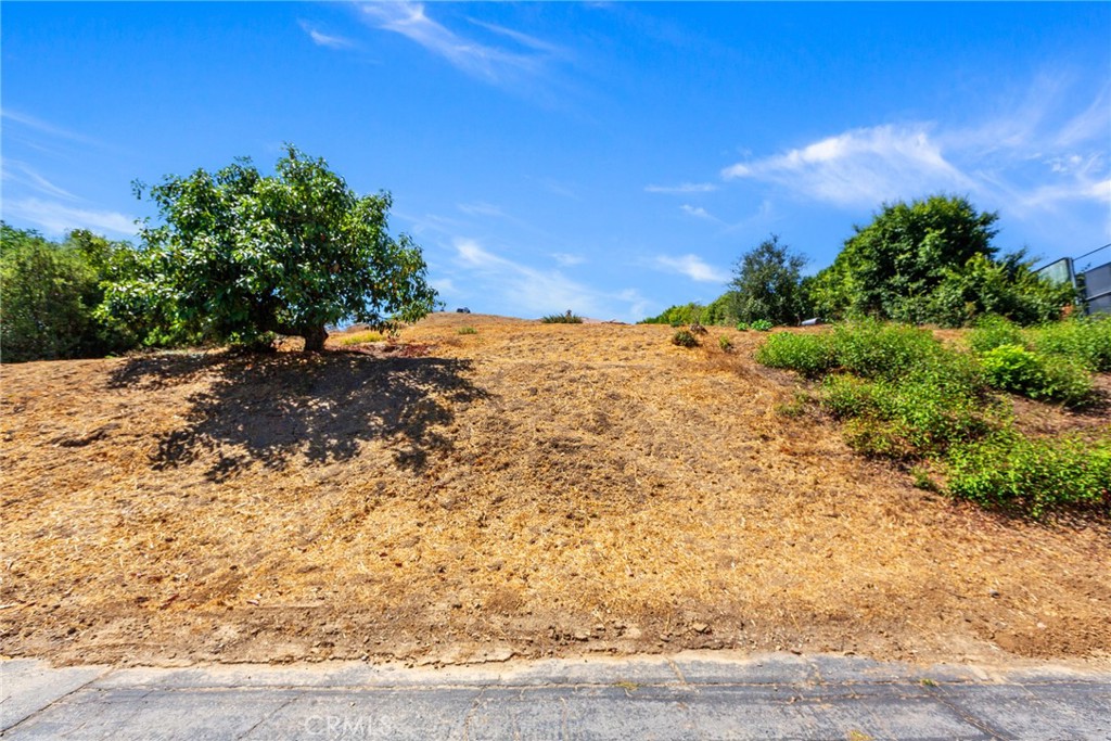 main property photo 12