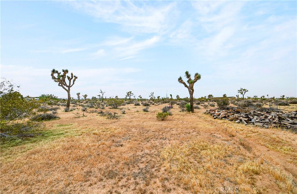 main property photo 37
