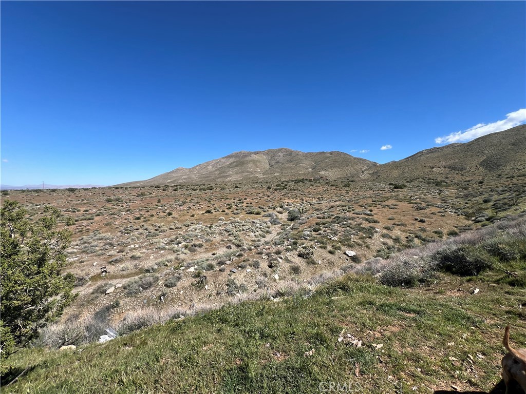 main property photo 4