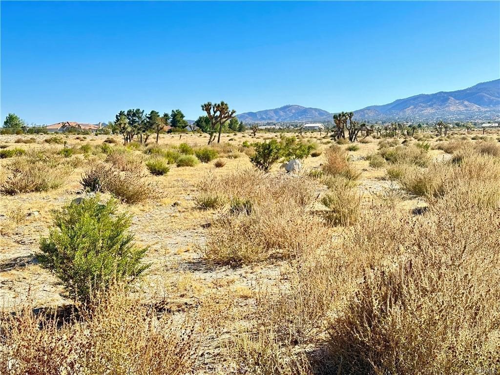 main property photo 6