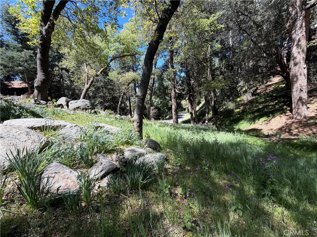 main property photo 53