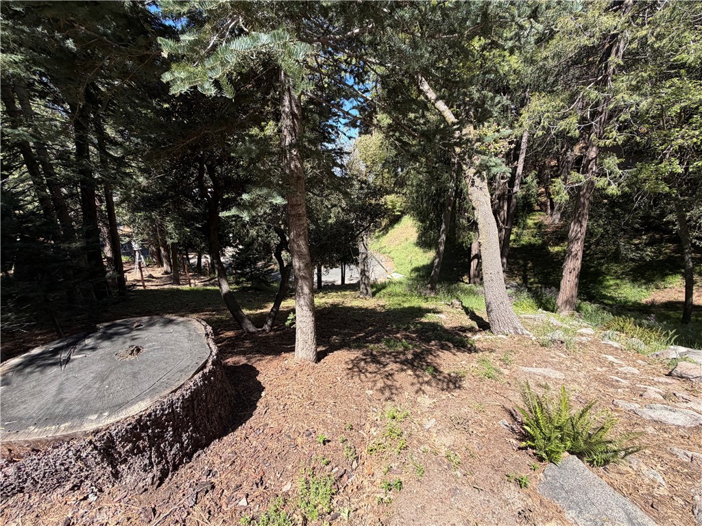 main property photo 56