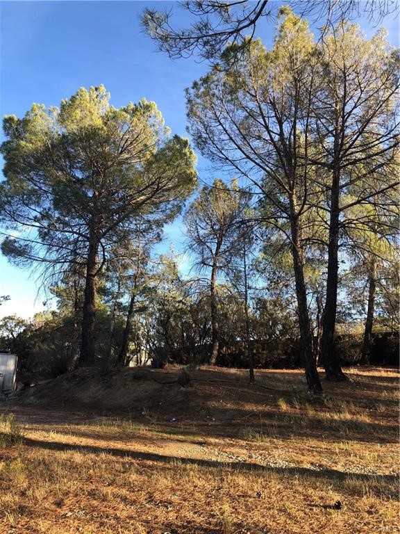 main property photo 19