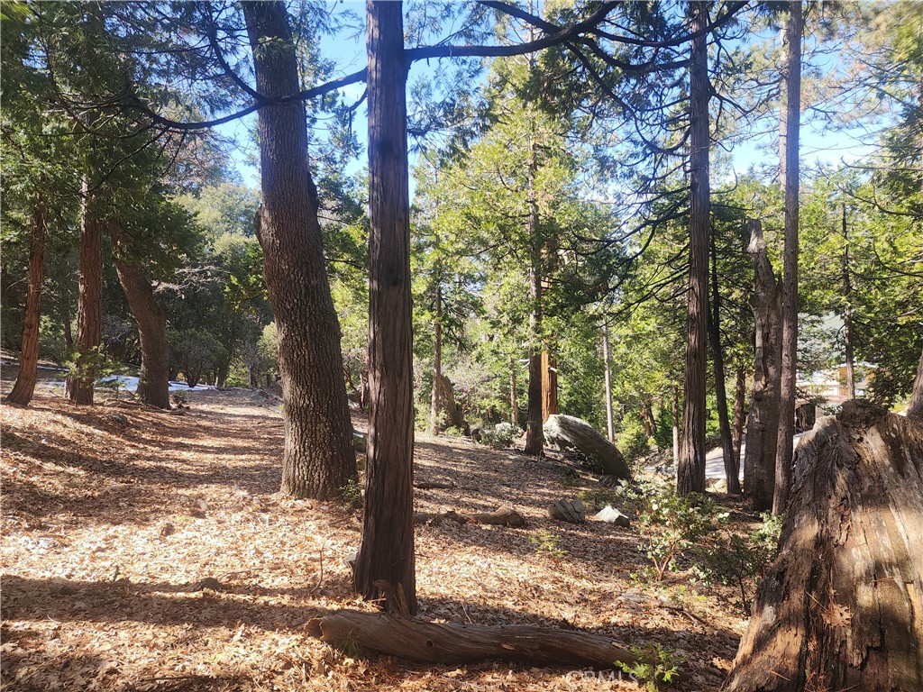 main property photo 10