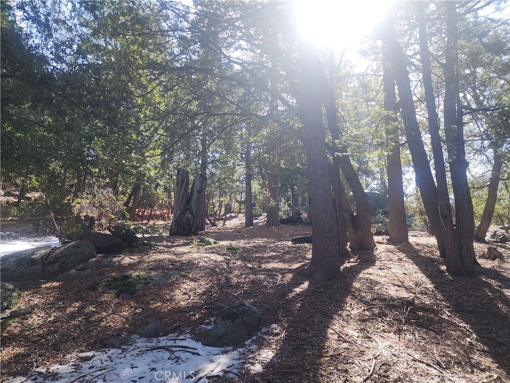 main property photo 15