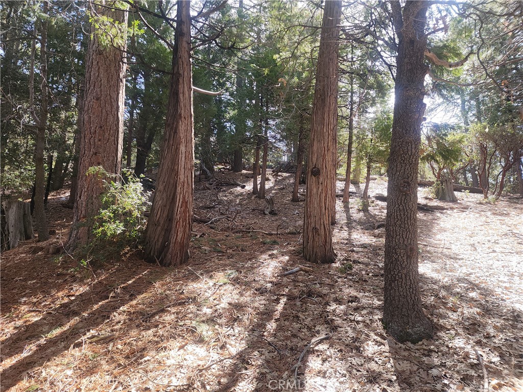 main property photo 27