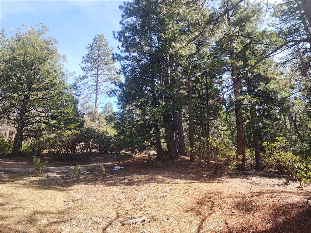main property photo 44