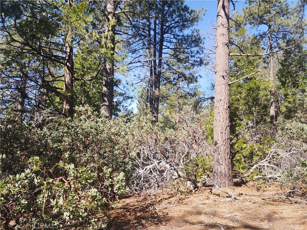 main property photo 52