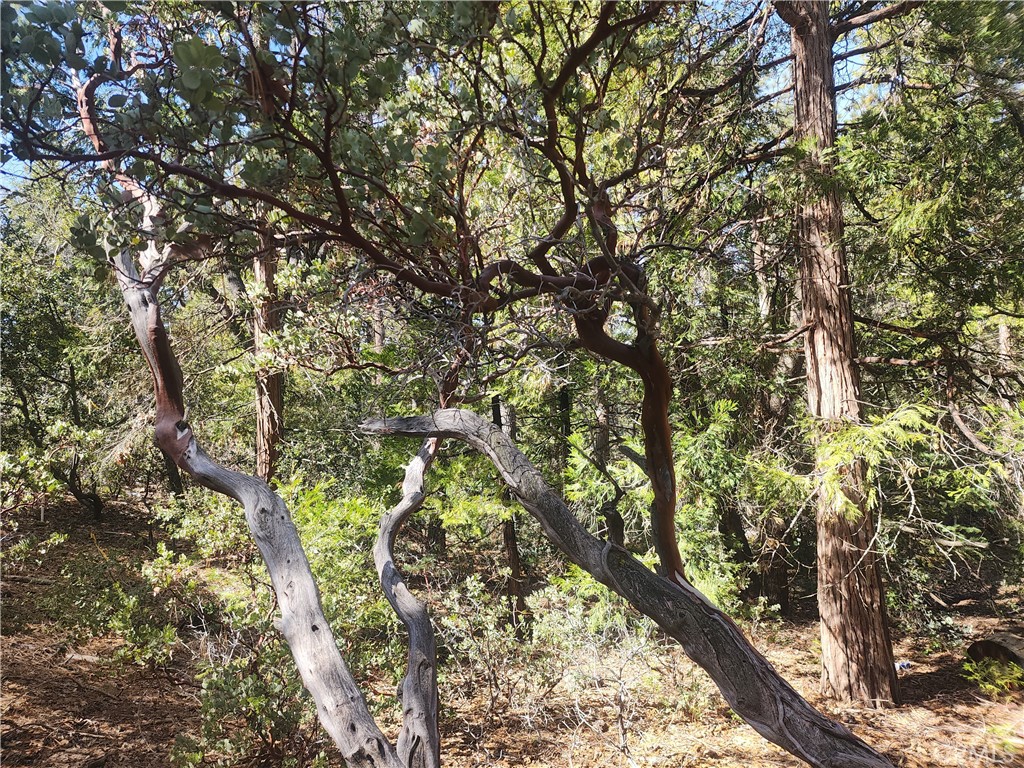 main property photo 53
