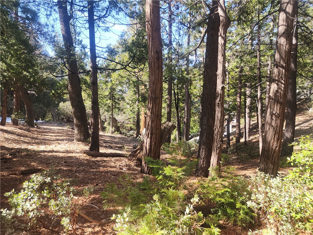main property photo 9