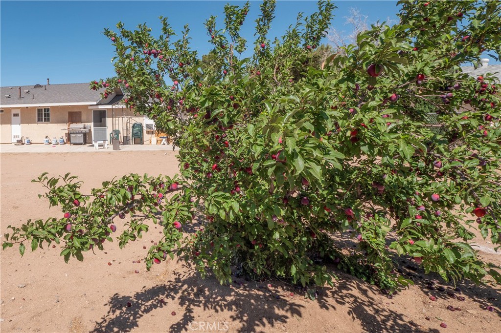 main property photo 24