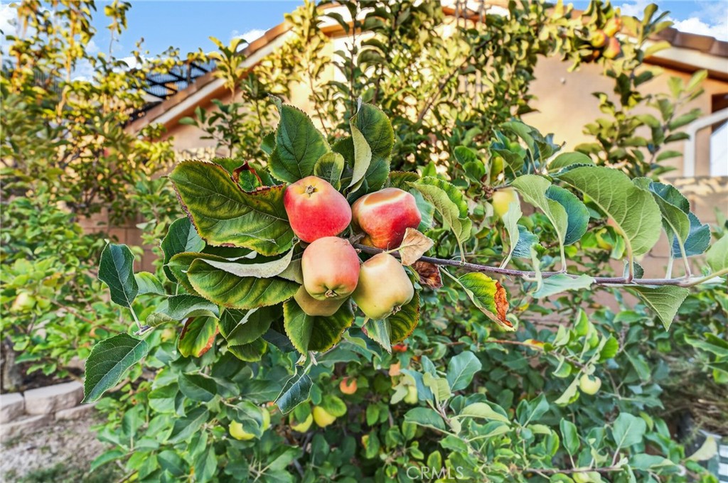 main property photo 70