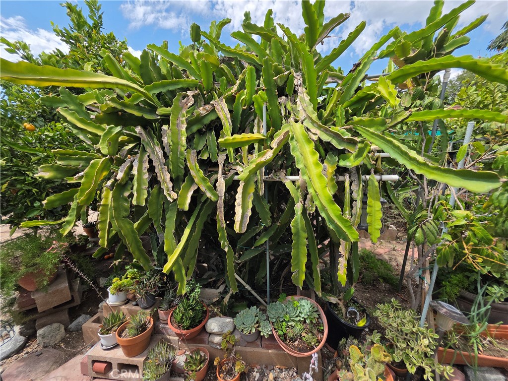 main property photo 55